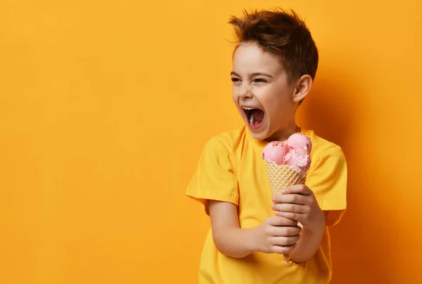 Niño feliz con helado